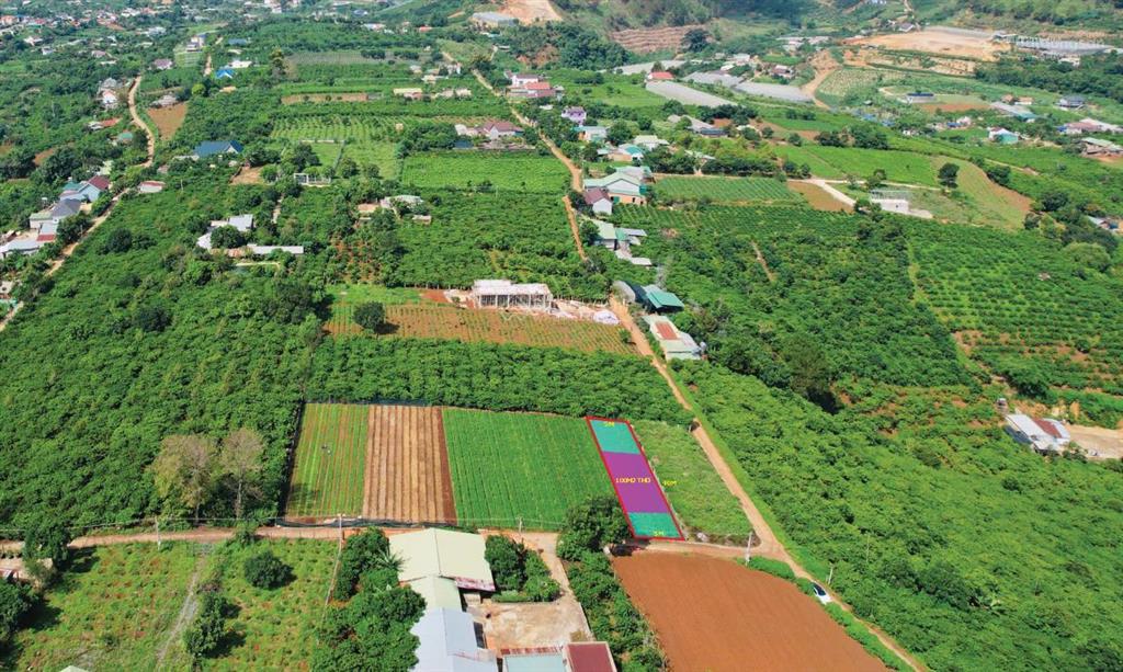 Chính chủ cần bán đất thổ cư nam ban lâm hà giá chỉ 580tr nguyên lô