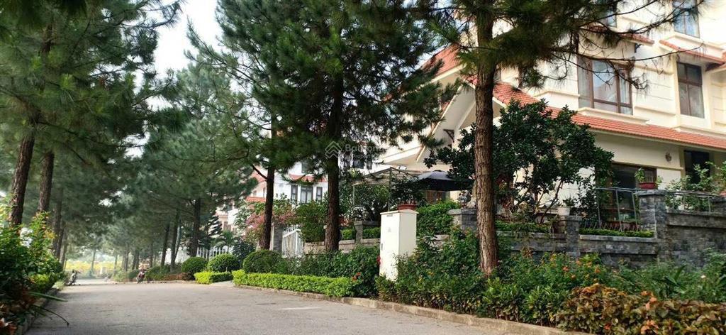 Mua là thắng! bán căn biệt thự 200m² đã xây thô, giá 16 tỷ, hướng tây. the phoenix đan phượng