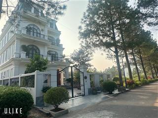 Chính chủ cần bán bt đơn lập 300m đã xây thô, hướng tây tứ trạch, giá 2x tỷ. the phoenix garden