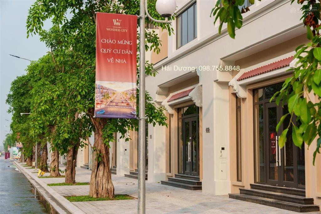 Giỏ hàng chuyển nhượng chủ nhà gửi bán dt 88m96m104m128m136m228m2. vinhomes đan phượng t8/2026