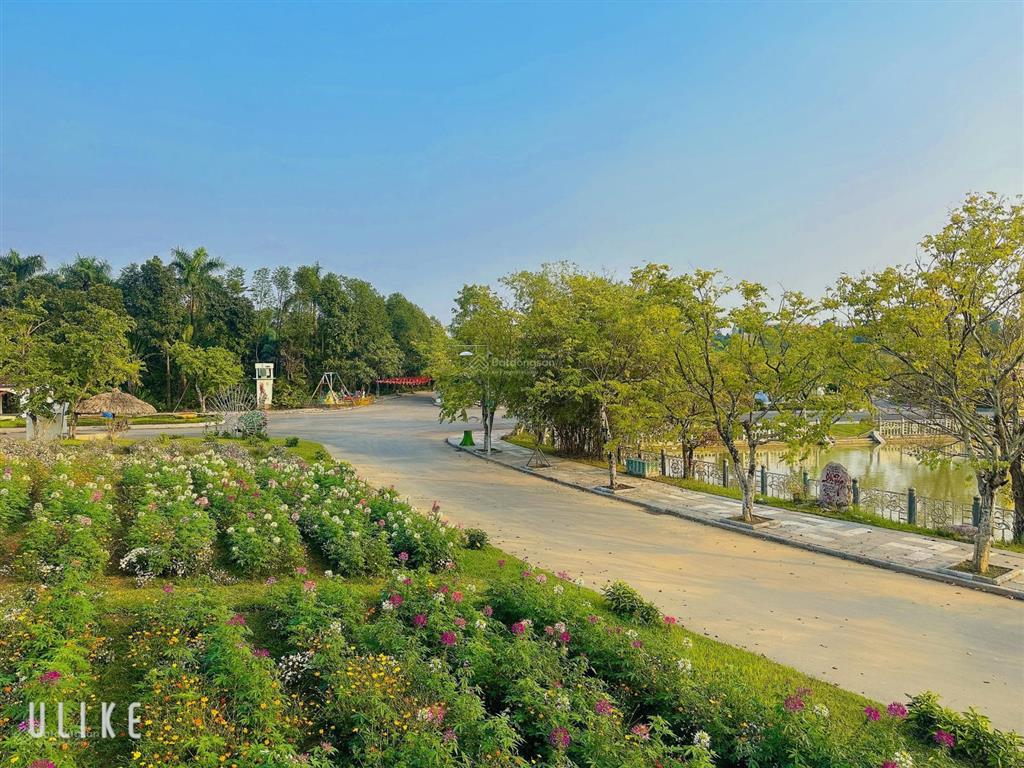 Chính chủ cần cho thuê biệt thự 200m2, full đồ, chỉ việc xách vali vào ở. dự án the phoenix garden