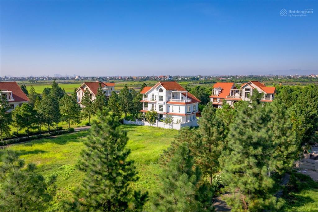 Chính chủ cần cho thuê biệt thự 200m2, full đồ, chỉ việc xách vali vào ở. dự án the phoenix garden