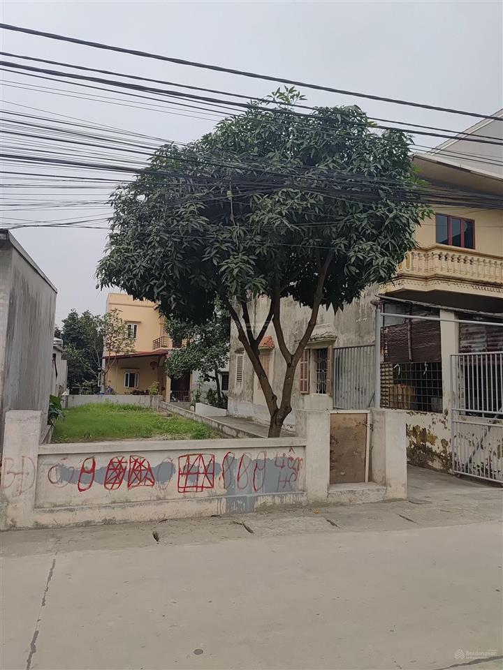 Cần bán 100 m2 đất mặt đường mỹ ả  đường thông kinh doanh đa nghành  giá nhỉnh 7 tỷ