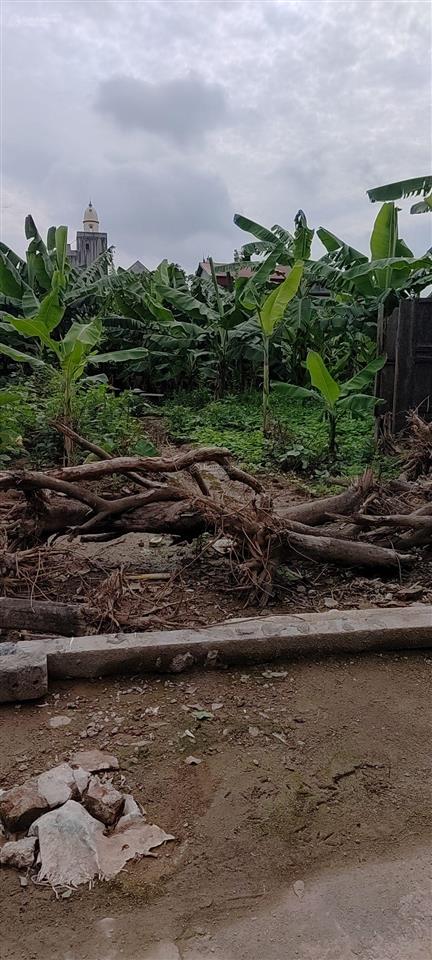 Bán 650 m  đường thông ô tô chạy đất phú xuyên  hà nội  giá nhỉnh 16 tỷ