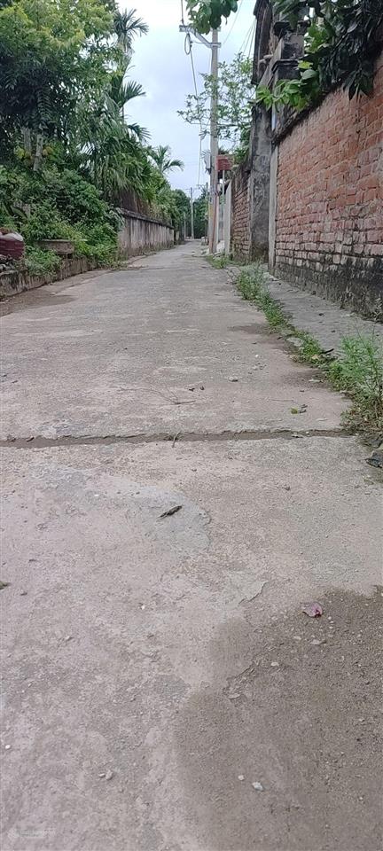 Bán 650 m  đường thông ô tô chạy đất phú xuyên  hà nội  giá nhỉnh 16 tỷ