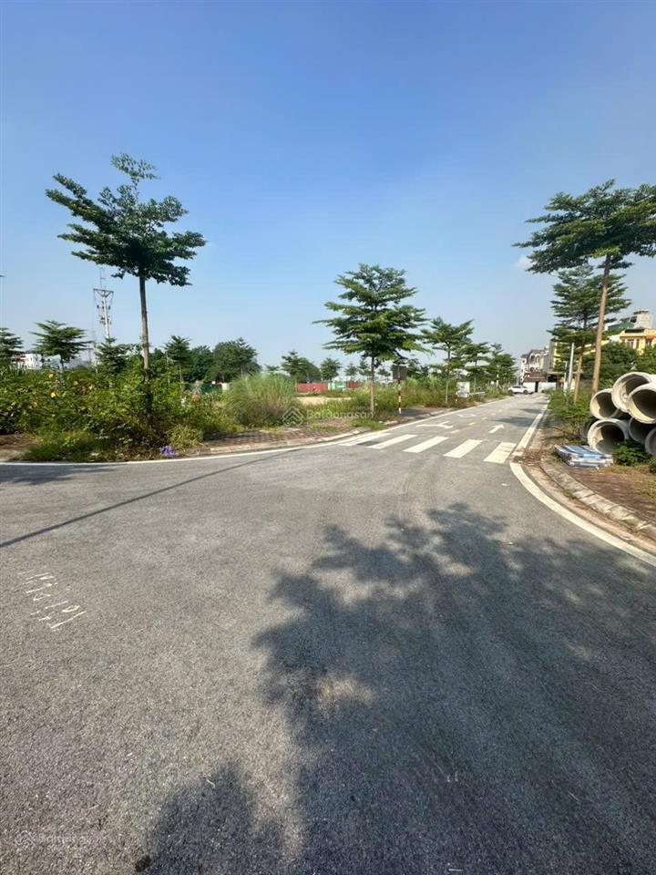 Đất 82m2 phân lô vỉa hè huỳnh cung  đại thanh  hà nội  giá chào 12,5 tỷ