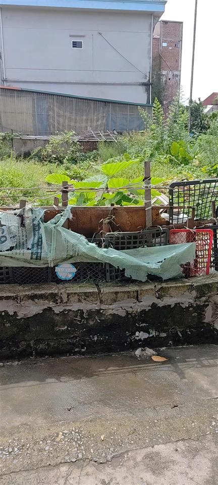 Bán 104m2 đất thường tín  nhị khê  thường tín  hà nội  giá chào  7.85 tỷ