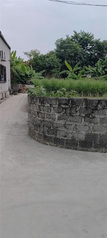 Cần bán 222m2 đất 3 mặt ngõ xã thắng lợi  thường tín  hà nội  giá chào  9.5 tỷ