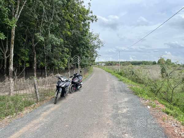 Chính chủ gửi bán lô đất đẹp tại huyện tân biên, tây ninh