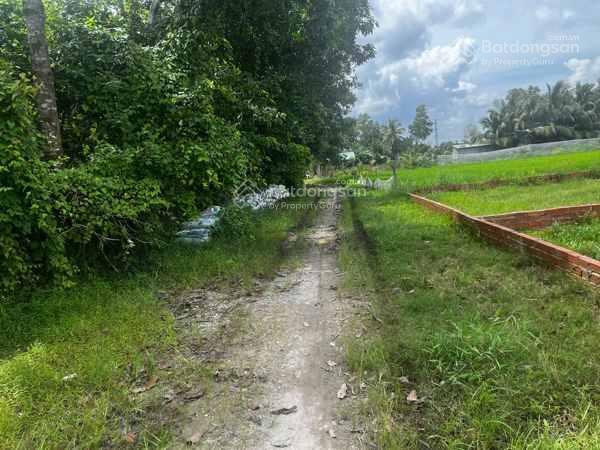 Ngân hàng thanh lý đất nền giá rẻ tại xã thanh phước, gò dầu, tây ninh