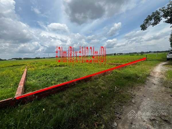 Ngân hàng thanh lý đất nền giá rẻ tại xã thanh phước, gò dầu, tây ninh