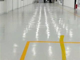 Cho thuê xưởng 1300m2, tân thới nhì, hóc môn