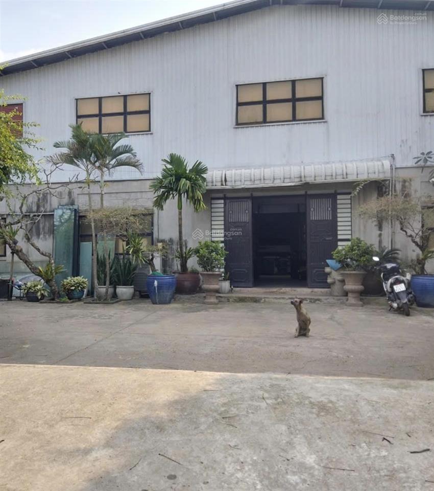 Cho thuê xưởng 2500m2, xuân thới sơn, hóc môn