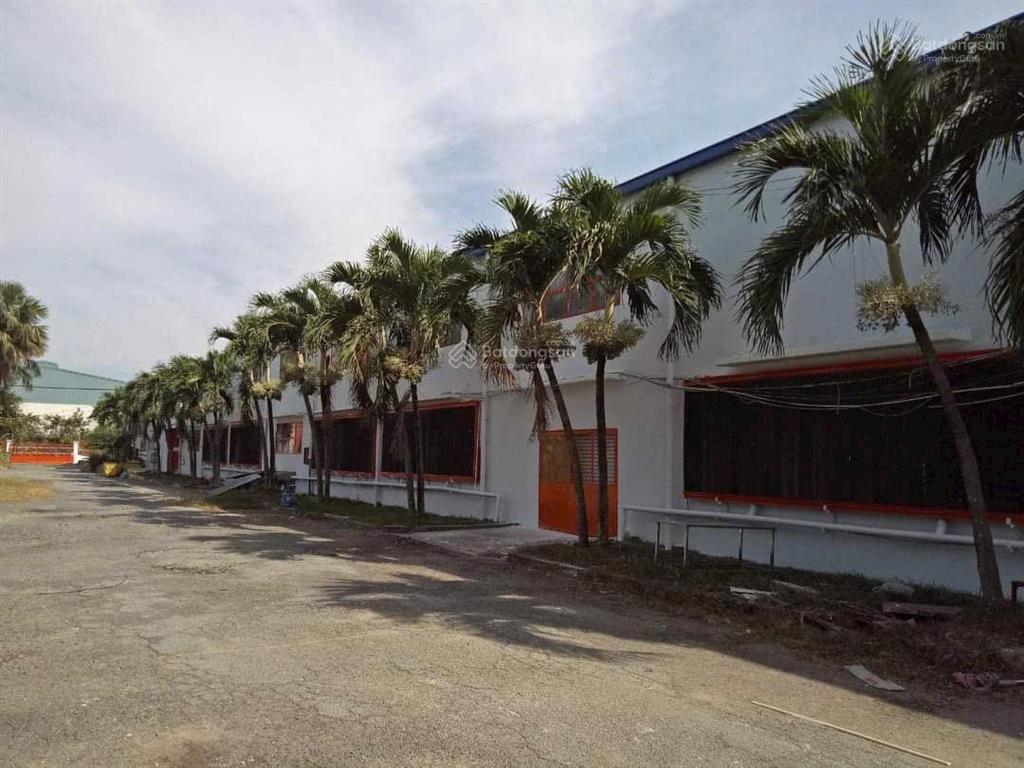 Cho thuê xưởng 6000m2 xuân thới thượng, bà điểm, hóc môn