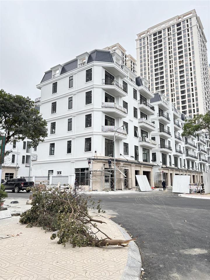Cho thuê shophouse the charm  hà đông  dt 110m2, 5t, mt góc, lấy 23 căn đập thông đều được.