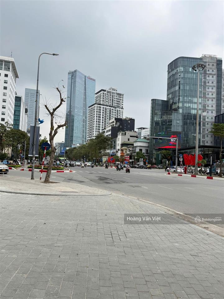 Cho thuê căn biệt thự siêu hiếm tại tt quận ba đình (phố văn cao), ngay lotte liễu giaiđào tấn