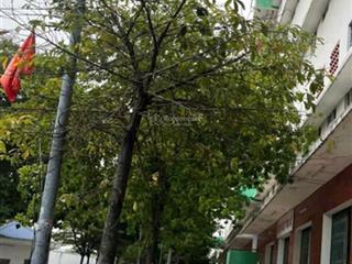 Căn hộ đồng an 2, phường bình dương, kế bên becamex hòa lợi. giá bán 230 triệu