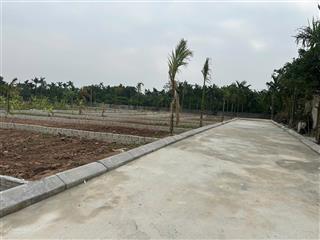 Hàng hiếm đất nền gần biển chỉ 400 triệu nga thái nga sơn thanh hoá