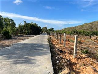 Đất view đồi có một không hai tại khu phố thiện bình