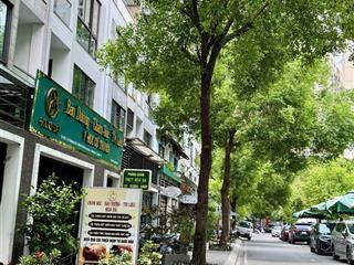 Nhà phố 88m2 hado centrosa đường 3/2 quận 10 khu compound hiếm nhà bán!