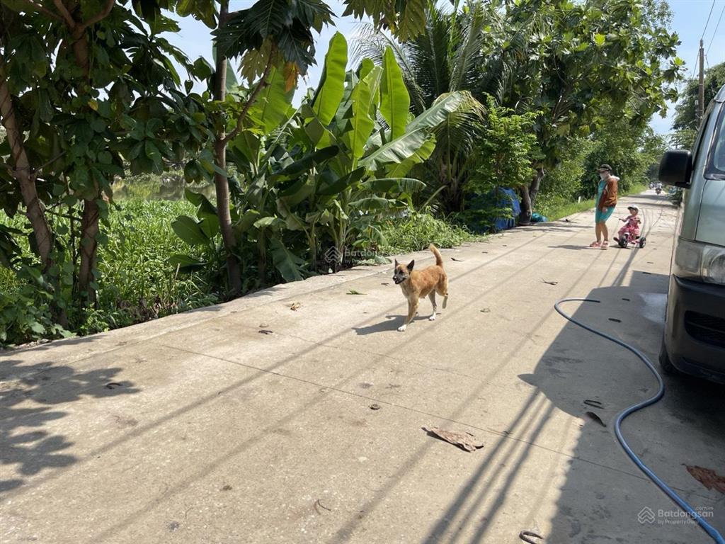 Lô đất biệt thự đường xe hơi bên sông sài gòn ngang 8,5m nở hậu, thổ cư chỉ 16 triệu/m2