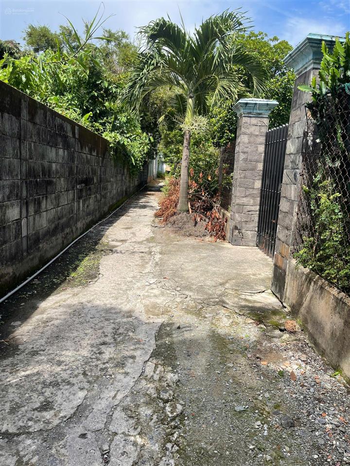 Căn nhà thái trong khuôn viên 492m2 ngang 8m đường nhánh vĩnh phú 25 giá tốt