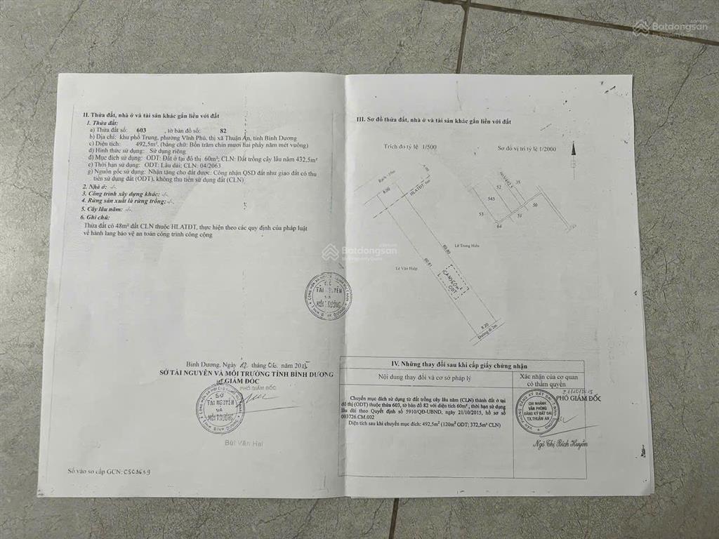 Căn nhà thái trong khuôn viên 492m2 ngang 8m đường nhánh vĩnh phú 25 giá tốt