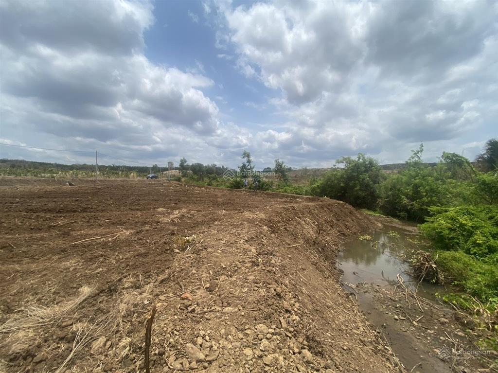 Bán đất vườn mặt tiền đường nhựa, suối ôm thuộc xã bình giã, tp. hồ chí minh, sổ riêng chỉ 710tr