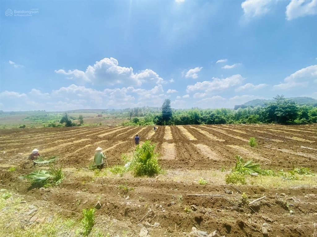 Bán đất vườn mặt tiền đường nhựa, suối ôm thuộc xã bình giã, tp. hồ chí minh, sổ riêng chỉ 710tr