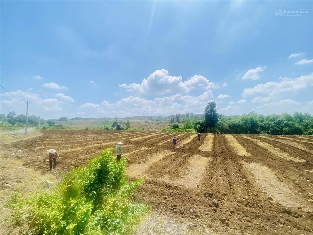 Bán đất vườn mặt tiền đường nhựa, suối ôm thuộc xã bình giã, tp. hồ chí minh, sổ riêng chỉ 710tr