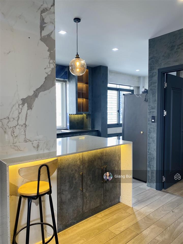 Cho thuê penthouse mỹ khang phú mỹ hưng 340m2 4pn, sân rộng, nhà đẹp
