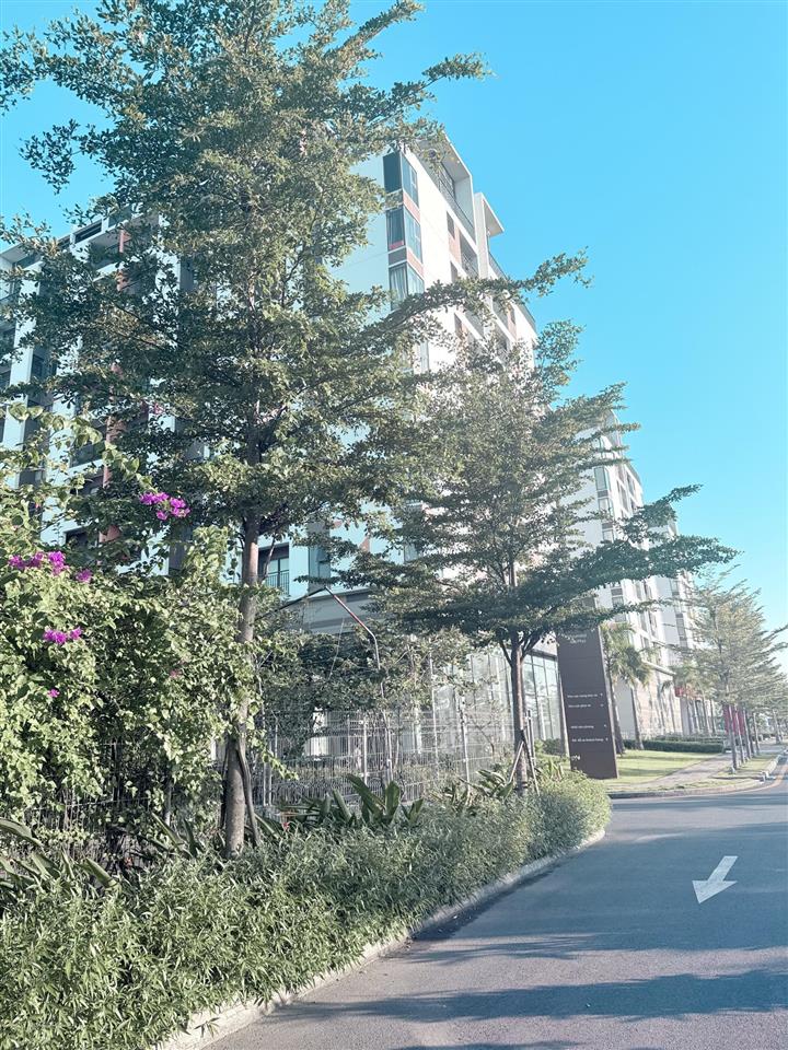 Dự án nhà ở xã hội thủ thiêm green town quận 2  62m2 giá 2 tỷ 032