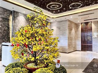 Cho thuê cc 2pn 86m2 tại hado centrosa garden, 25 triệu, quận 10, hồ chí minh siêu hot