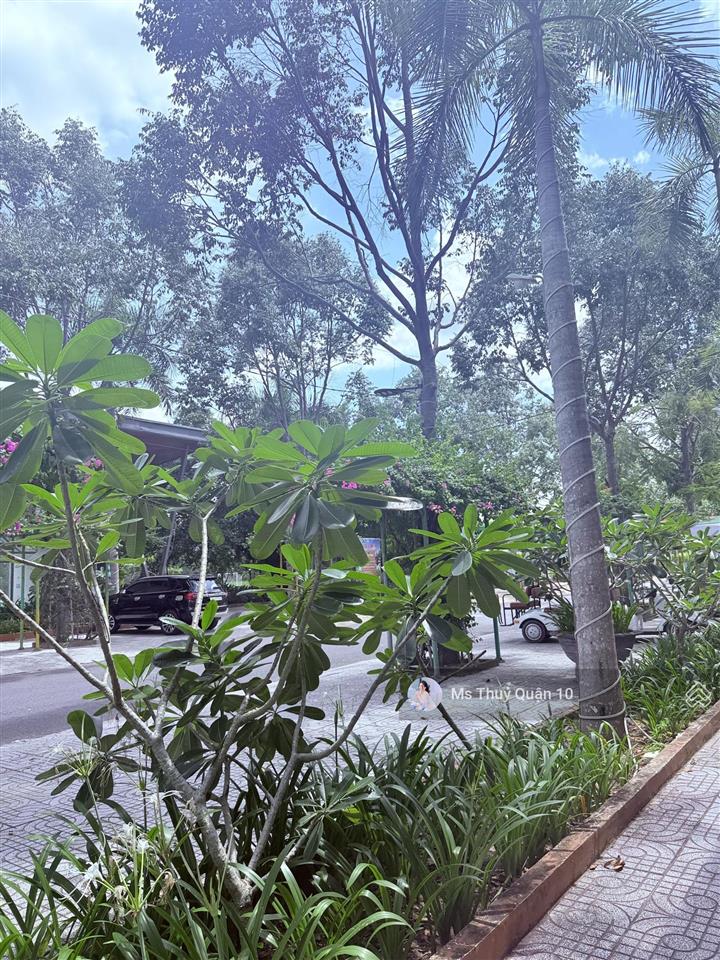 Chỉ từ 165 triệu sở hữu nhà ngay tại dta happy home nhơn trạch!