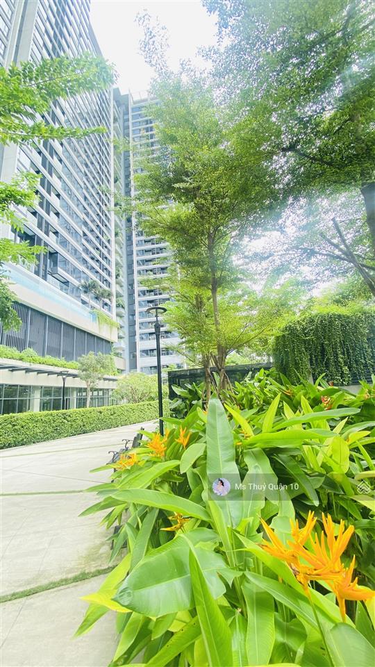 Hàng ngộp kingdom101 căn 78m căn góc 2 view thoáng