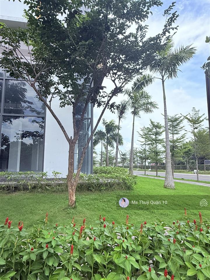 Thủ thiêm green house quận 2 căn hộ 27m, 39m, 55m, 62m, 68m, căn góc  tư vấn mua noxh
