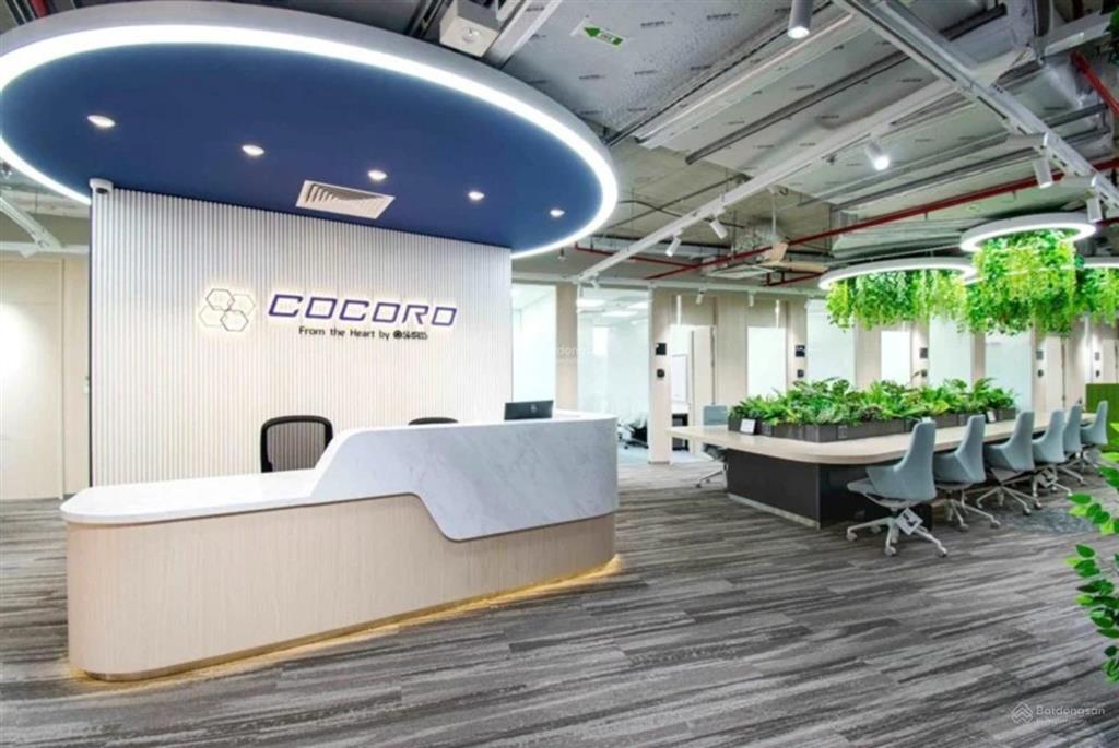 Cơ hội sở hữu văn phòng view đẹp nhất tại tòa nhà the nexus