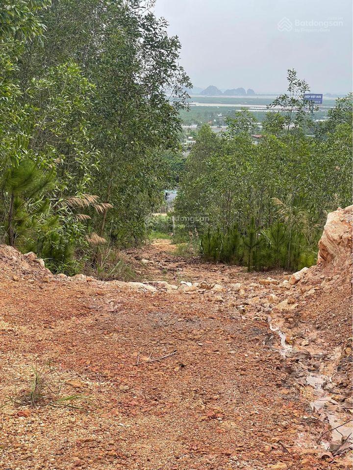 Bán 13,5ha đất rừng tại cầu trắng, đại yên. view toàn cảnh siêu dự án vinhomes hạ long xanh rất đẹp