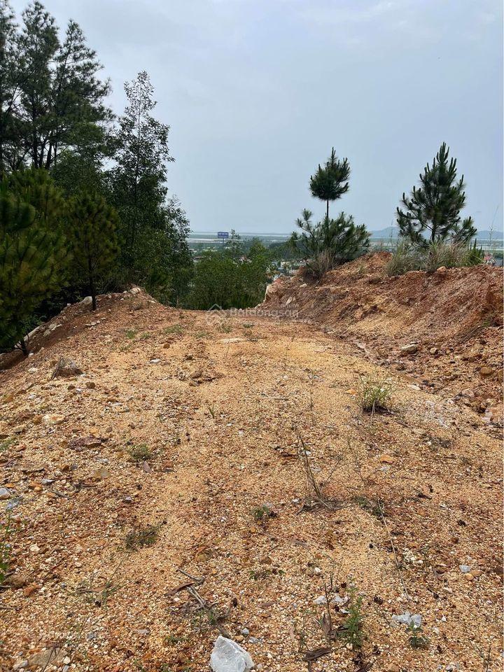Bán 13,5ha đất rừng tại cầu trắng, đại yên. view toàn cảnh siêu dự án vinhomes hạ long xanh rất đẹp
