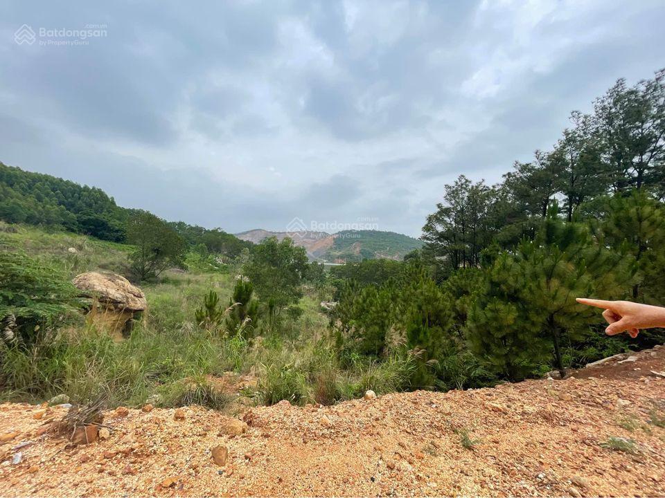 Bán 13,5ha đất rừng tại cầu trắng, đại yên. view toàn cảnh siêu dự án vinhomes hạ long xanh rất đẹp