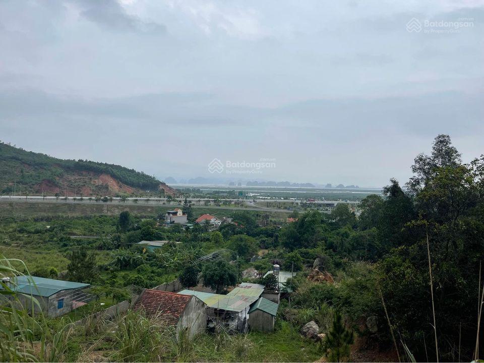 Bán 13,5ha đất rừng tại cầu trắng, đại yên. view toàn cảnh siêu dự án vinhomes hạ long xanh rất đẹp