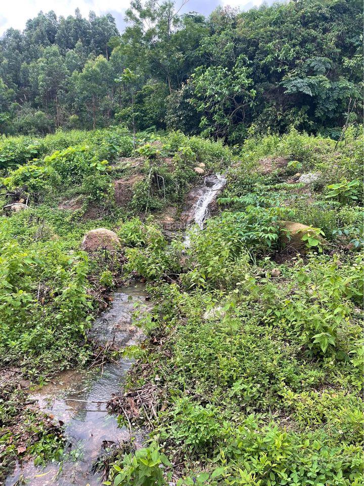Bán 13,5ha đất rừng tại cầu trắng, đại yên. view toàn cảnh siêu dự án vinhomes hạ long xanh rất đẹp