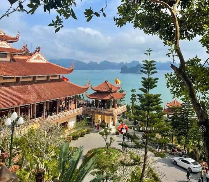Bán shophouse 5 tầng 95m2 ven biển tại kđt nghỉ dưỡng sonasea vân đồn harbor city, quảng ninh.