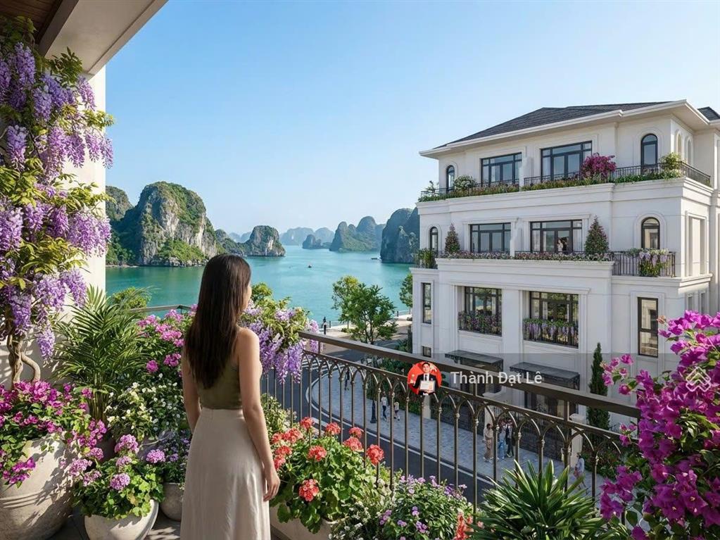 Chỉ 1 căn duy nhất biệt thự đơn lập suất ngoại giao 300m2, view biển cực đỉnh tại vịnh bình minh 1