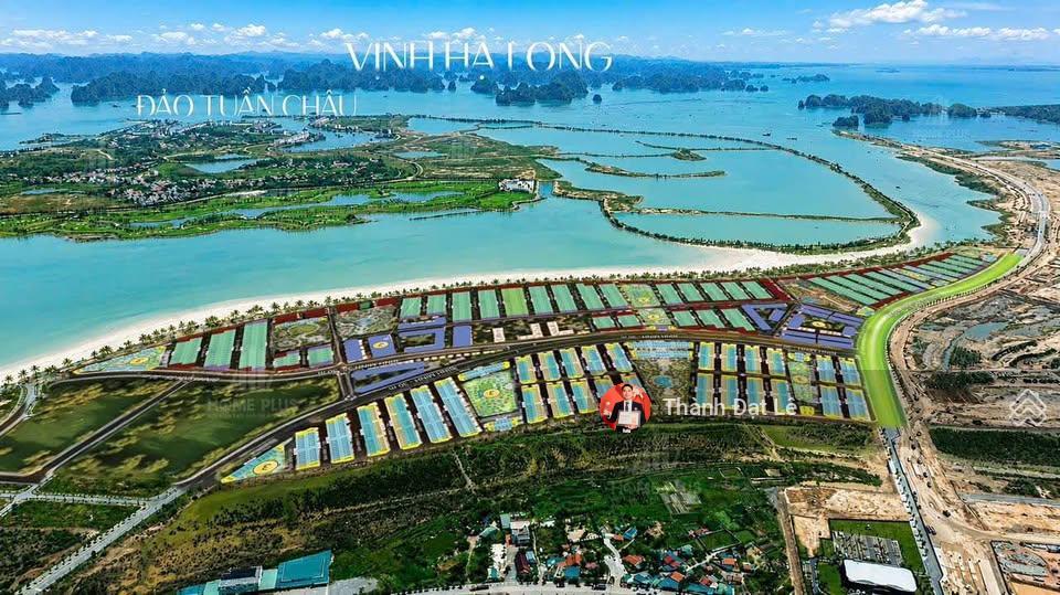 Suất ngoại giao biệt thự biển 3,5 tầng song lập 162m2 vinhomes hạ long xanh mặt biển hạ long