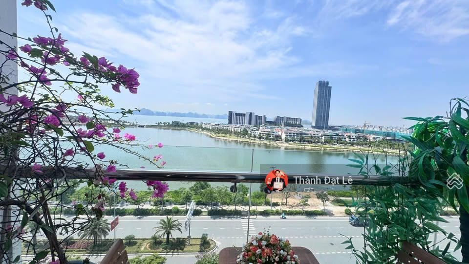 Chuyển sinh sống, bán căn 2pn 80m2 view trực diện biển trung tâm du lịch bãi cháy, hạ long