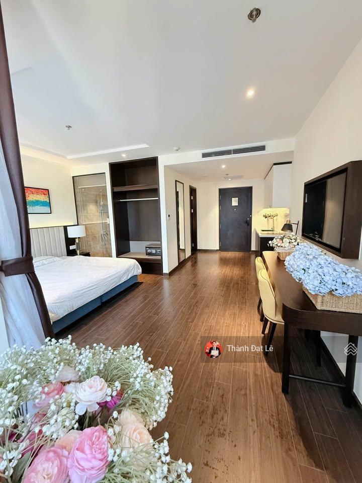 Cần bán căn studios 37m2 view đường 25/4 cung cá heo chung cư sapphire s2 hạ long. sổ đỏ lâu dài.