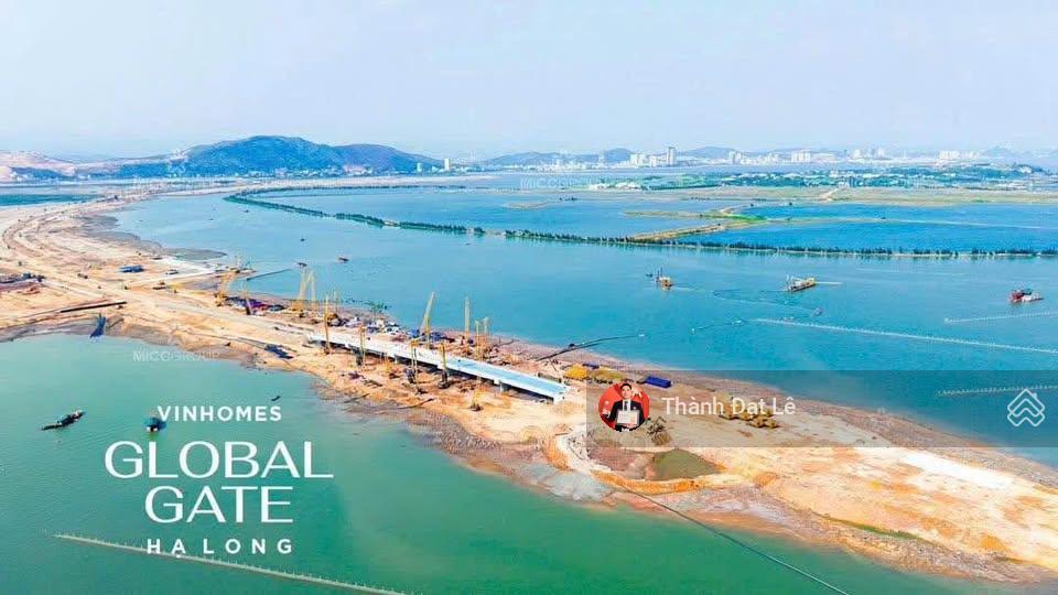 Vốn chỉ từ 4,1 tỷ sở hữu biệt thự song lập 3,5 tầng 162m2 ven biển tại kđt vinhomes hạ long xanh