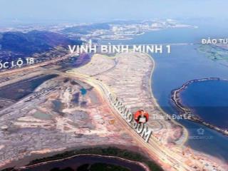 Vốn chỉ từ 4,1 tỷ sở hữu biệt thự song lập 3,5 tầng 162m2 ven biển tại kđt vinhomes hạ long xanh