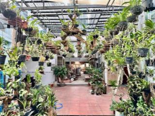 Mặt tiền kinh doanh  tân xuân 2 hóc môn  gần 700m2  full thổ cư 18.5 tỷ dòng tiền 800 triệu năm